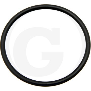 O-ring