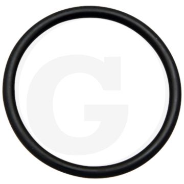 Afdichtring (Ingaande as, differentieel  58 x 82 x 15 mm)