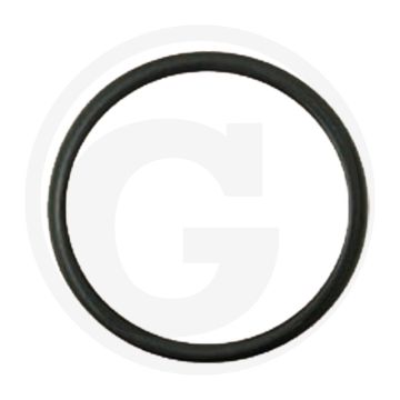 Dichtring (Ölpumpe)