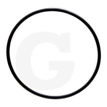 Dichtring (Zylinderdeckel)