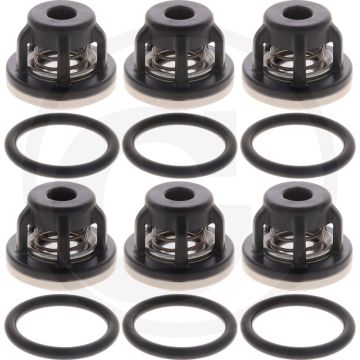 Annovi Reverberi Ventil Satz Bp 115-135 (O-ring 670320030  klep 670759054)