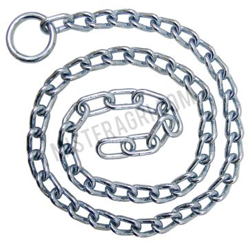 Rinderkette