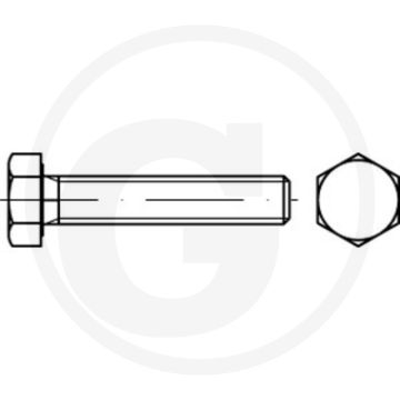 Zeskantbout M16 x 55 DIN 961
