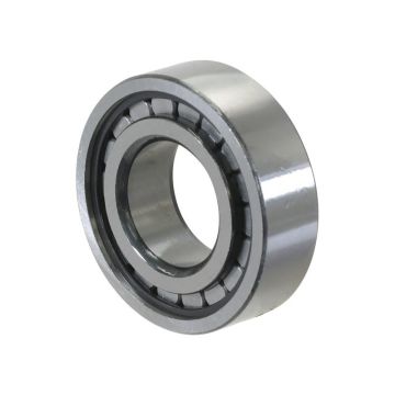 Sparex Cilinderlager (F-52077)