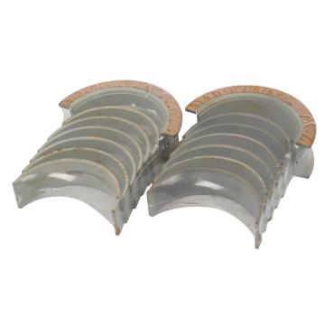 Hoofdlager Standaard (Set)