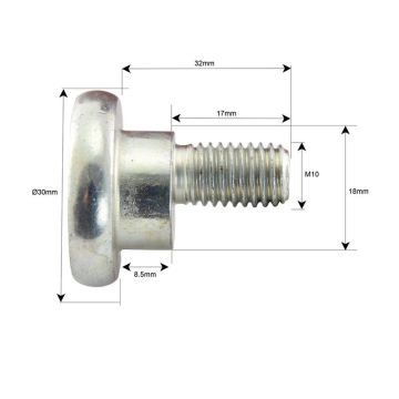 Mesbout + moer- M10x32mm - Vervanging voor Vicon