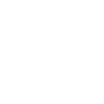 Verf - glans, Wit 1 ltr(s) Blik (RAL 3006)