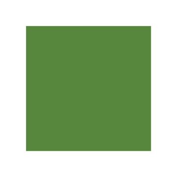 Verf - glans, Groen 1 ltr(s) Blik