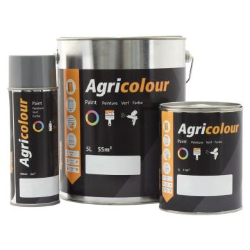 Verf - glans, Rood 1 ltr(s) Blik