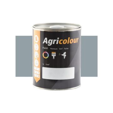 Verf - glans, Zilver Grijs 1 ltr(s) Blik (RAL 7001)