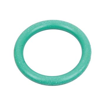 O'Ring Pak (10 stuks)