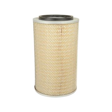 Luchtfilter - buiten - AF25065