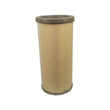 Luchtfilter Binnen - AF25897 -