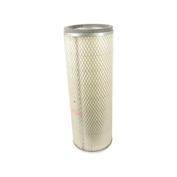 Luchtfilter Binnen - AF955 -