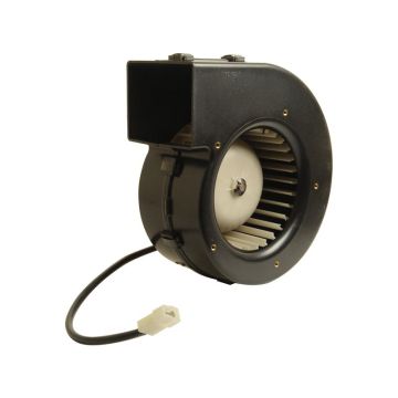 Ventilator Motor