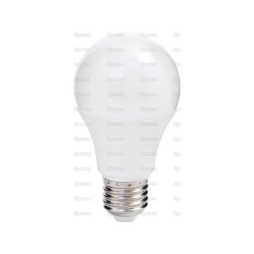 LED Gloeilamp 5.5W - Doos