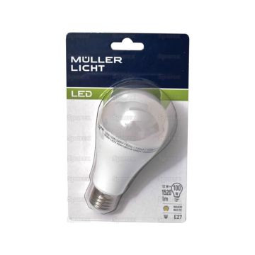 LED Gloeilamp (LED), 230V, 12W, E27