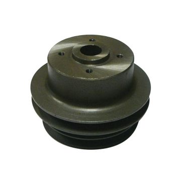 Waterpomp poelie