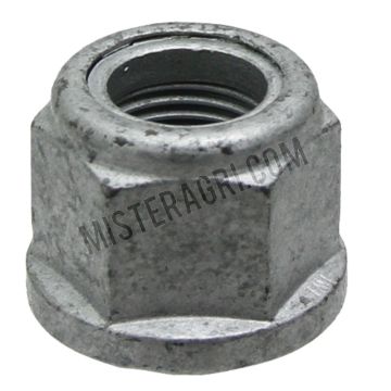 Kraagmoer
