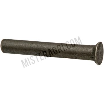 Pen voor pendelslot - ruw