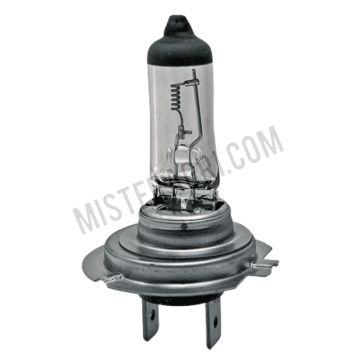 Ampoule halogène H7 - 24V70W / H7