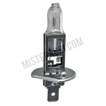 Halogeenlamp, H1 - 12V55W / H1