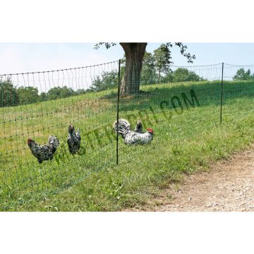 Elektro-afrastering - Euro-net gevogelte