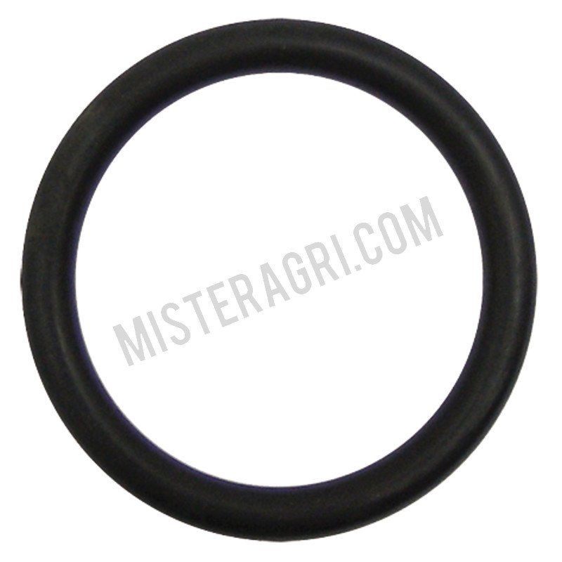 O-ring - voor inlaatklep