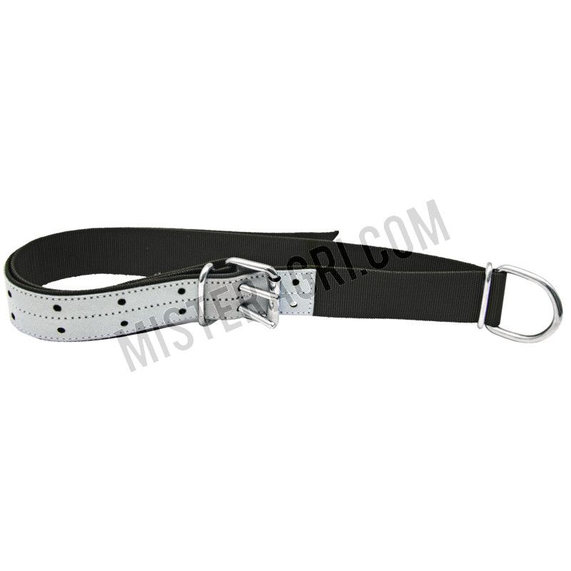 Halsband - stieren, met nylon-halsband, dubbele gesp en D-ring