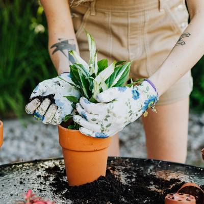 Jardinage et aménagement paysager