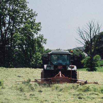 Gras en Weidebouw